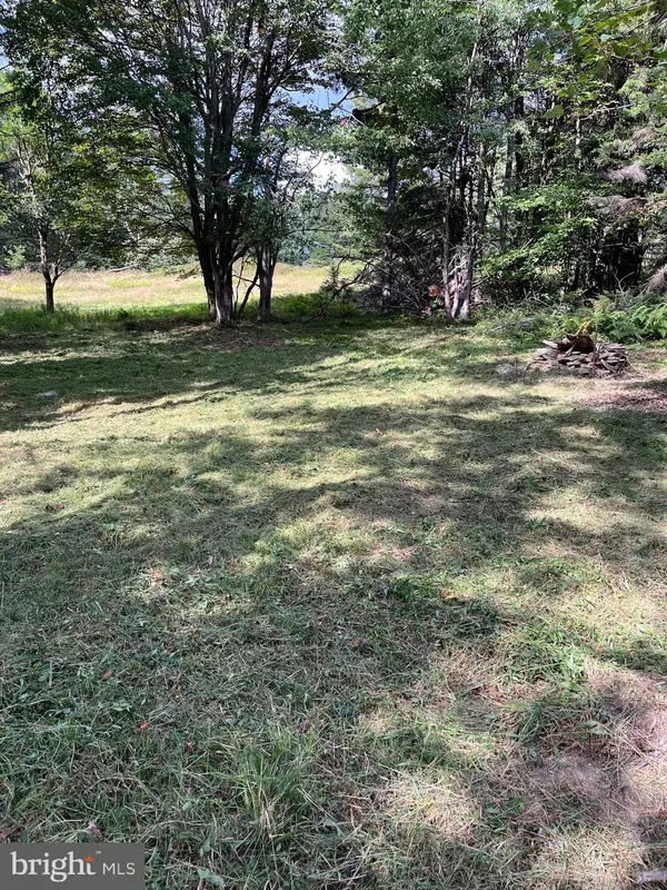 Mount Storm, WV 26739,LOT 17 LAKE RIDGE HEIGHTS