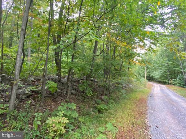 LOT 21-B DOVE DR, Paw Paw, WV 25434