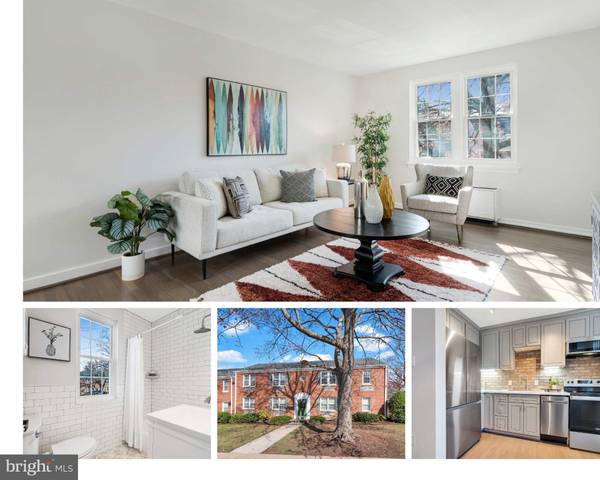 16 ASHBY ST #C, Alexandria, VA 22305