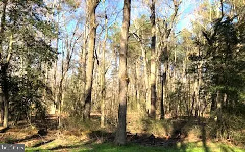 Preston, MD 21655,PARCEL 11 NEWTON RD
