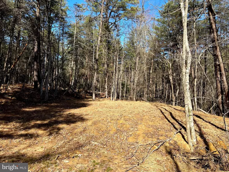 LOT 43 WARDEN HOLLOW WEST RD, Wardensville, WV 26851