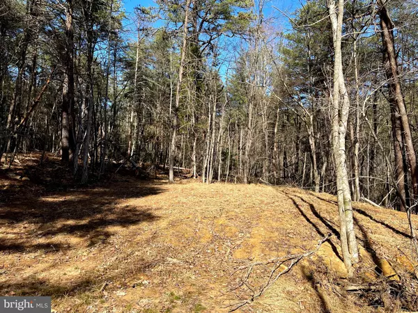 LOT 43 WARDEN HOLLOW WEST RD, Wardensville, WV 26851