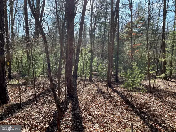 Wardensville, WV 26851,LOT 43 WARDEN HOLLOW WEST RD