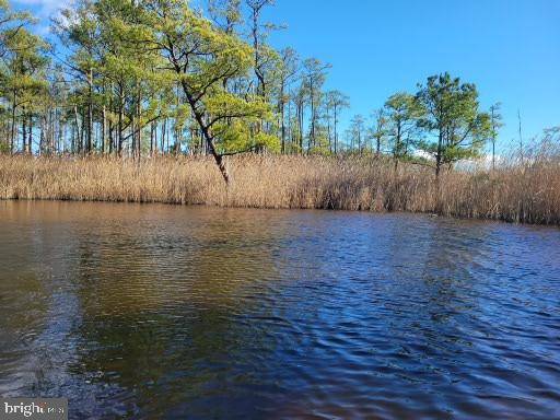 Church Creek, MD 21622,GOLDEN HILL RD