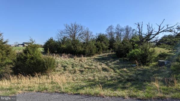 CHRISTO REY L21 2.69 ACRES, Clear Brook, VA 22624