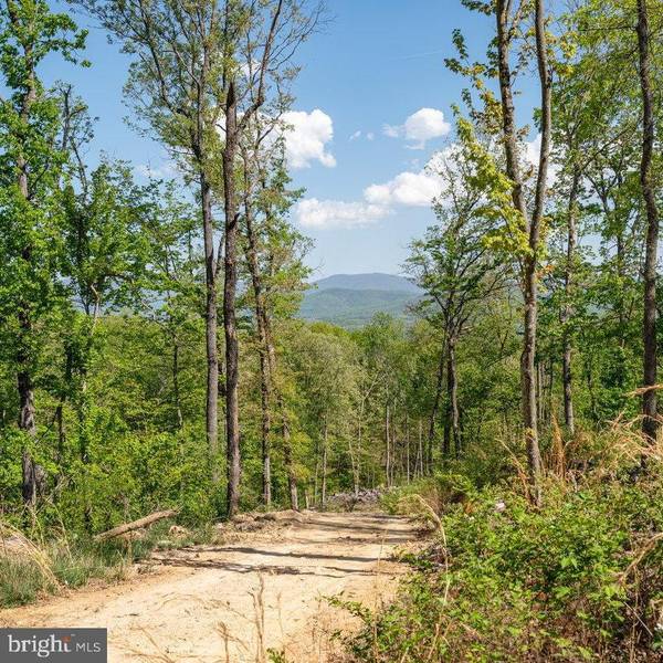 LOT 2 GALLOWAY SPRING LN, Stanley, VA 22851