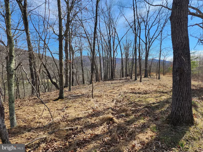 LOT 16 SILVER GAP VIEW, Romney, WV 26757