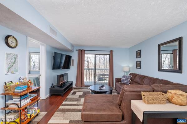 250 TIMBERS CONDOS, Wintergreen Resort, VA 22967