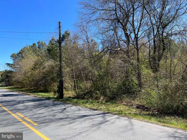 PARCEL 92 UNIONVILLE RD, Pocomoke City, MD 21851