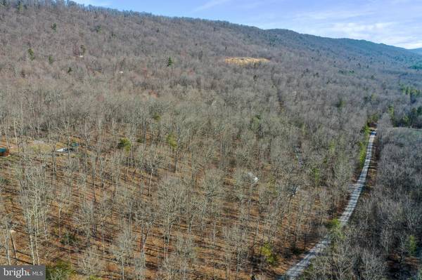 Fort Valley, VA 22652,LOT 210 MINE MOUNTAIN LN