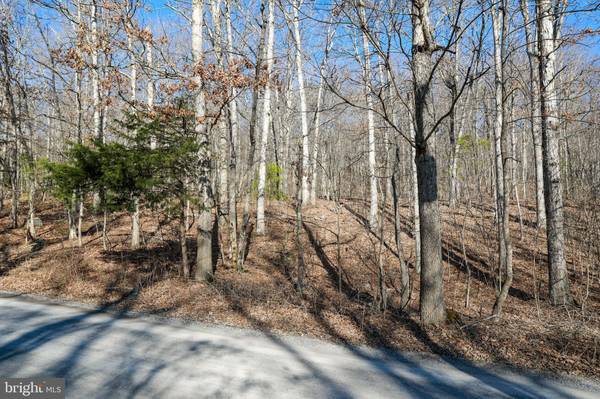 Fort Valley, VA 22652,LOT 210 MINE MOUNTAIN LN