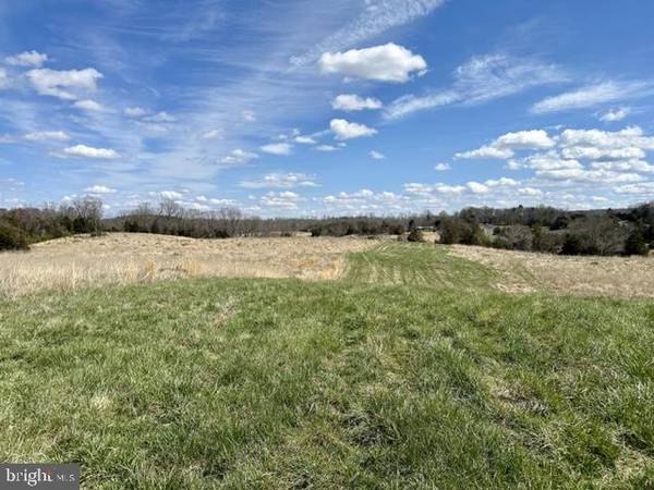 Culpeper, VA 22701,LOT 3C SCOTTS MILL RD