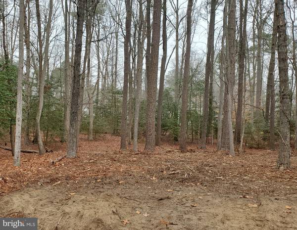 LOT 2055 NEPTUNE CT, Greenbackville, VA 23356