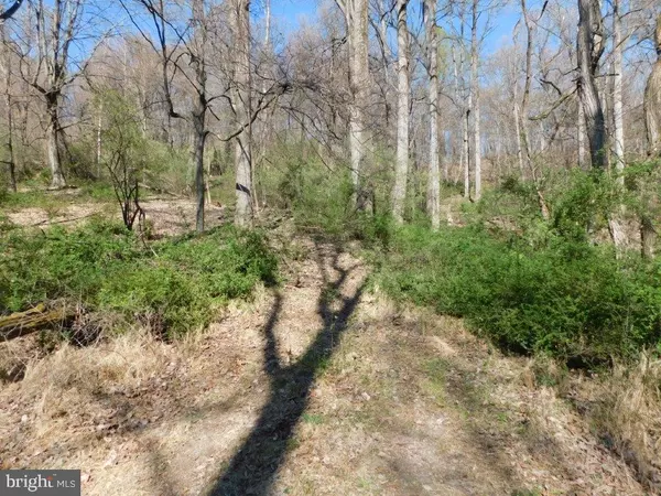 LOT B-62 TIMBERLINE DR, Lost River, WV 26810