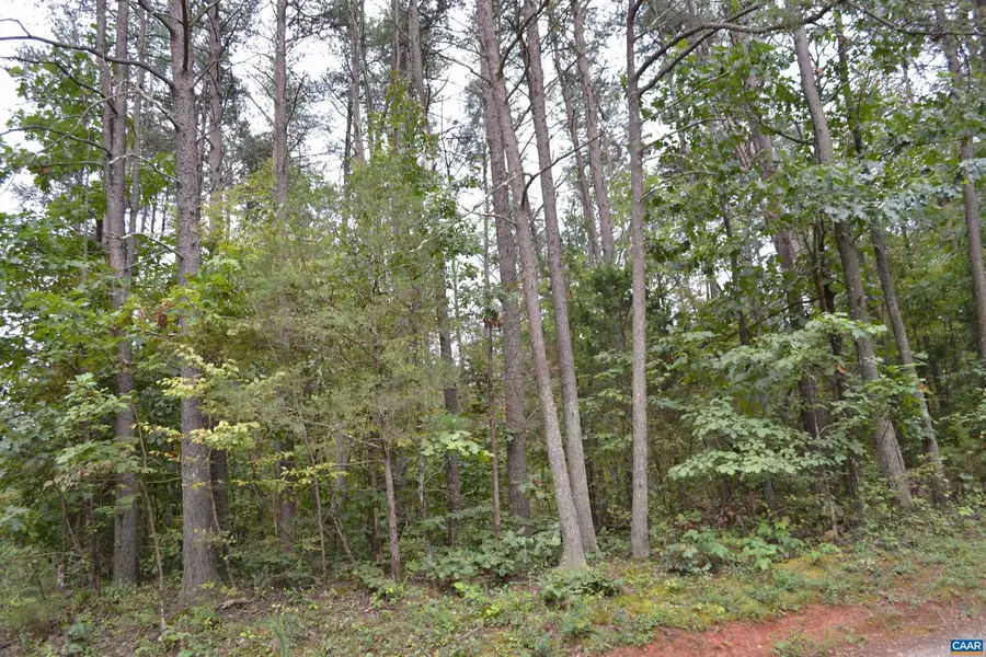 LOT 111 WILLIAM MONROE TRL, Stanardsville, VA 22973