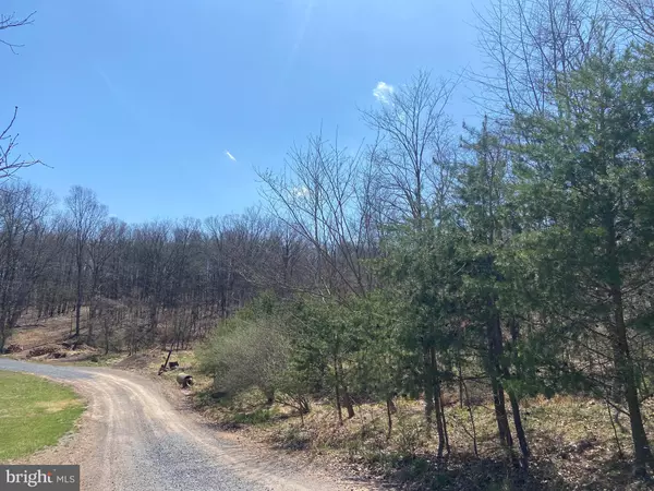 Berkeley Springs, WV 25411,LOT 38A HOLLY HILL LANE