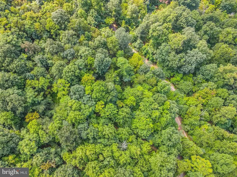 LOT 7 PANTHER LN, Hedgesville, WV 25427