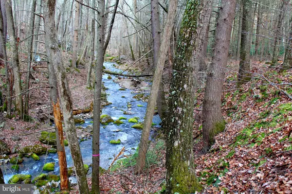 Moorefield, WV 26836,-17.6 ACS DUMPLING RUN RD