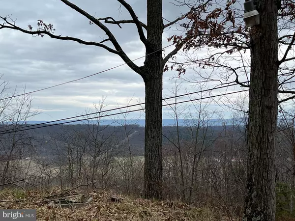 Capon Bridge, WV 26711,-LOT 23 FALCON VIEW DR