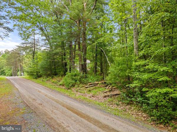 Boston, VA 22713,4.55 ACRES LOT 28 DEER LANE BOSTON VA