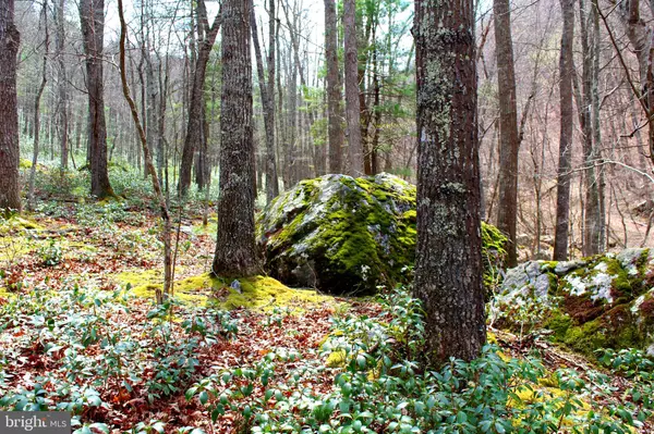 Moorefield, WV 26836,20.51 ACRES DUMPLING RUN RD