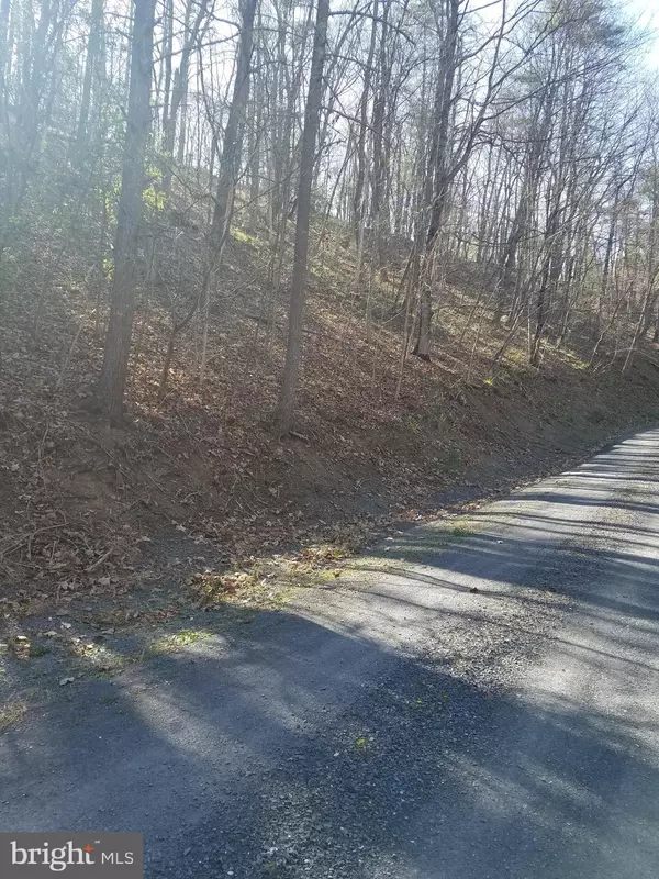 Basye, VA 22810,LEE RD- LT 102 & LT 101 SEC 9