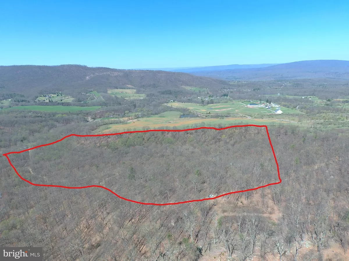 Paw Paw, WV 25434,35 ACRES ORCHARD LANE