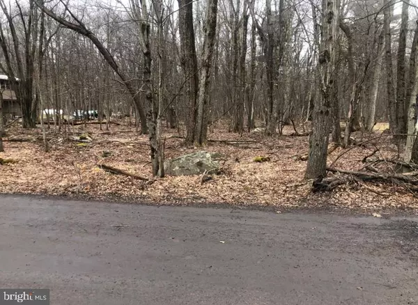 Pocono Summit, PA 18346,DEER PATH LOT 7