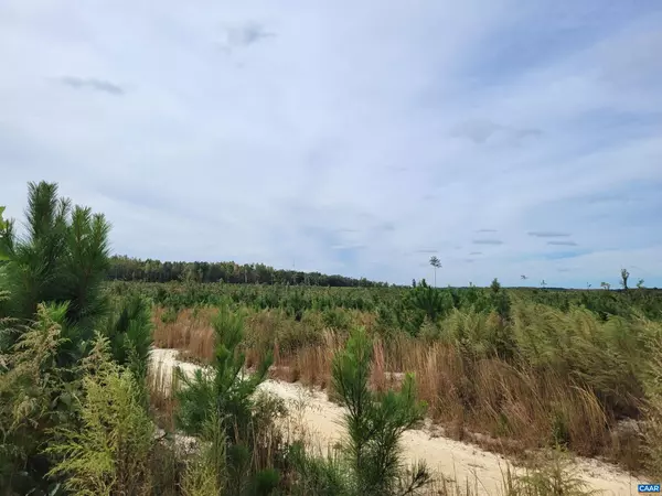 Amelia Court House, VA 23002,0 JENNINGS LN