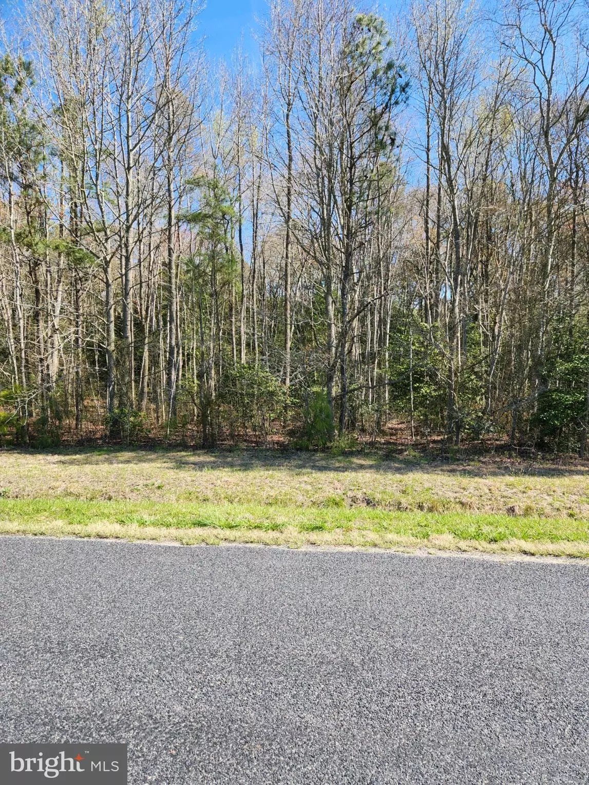 Laurel, DE 19956,LOT 4 JOHNSON RD