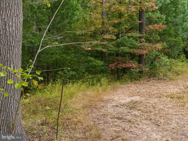 Bryans Road, MD 20616,ORETO LANE