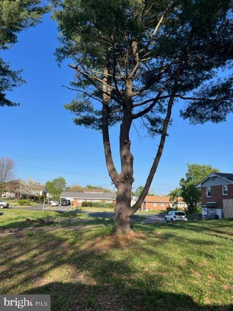 Winchester, VA 22602,DOGWOOD ROAD OFF RT7E