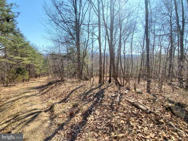 Front Royal, VA 22630,LOT 73 HILLANDALE RD