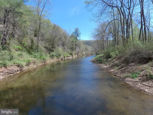 Augusta, WV 26704,LOTS 13 & 14 HANGING ROCK