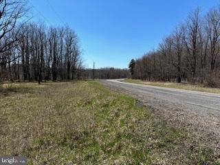 SPRUCE RIDGE LOT 21, Mount Storm, WV 26739