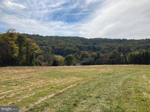 JOHN MARSHALL HIGHWAY LOT 4, Linden, VA 22642