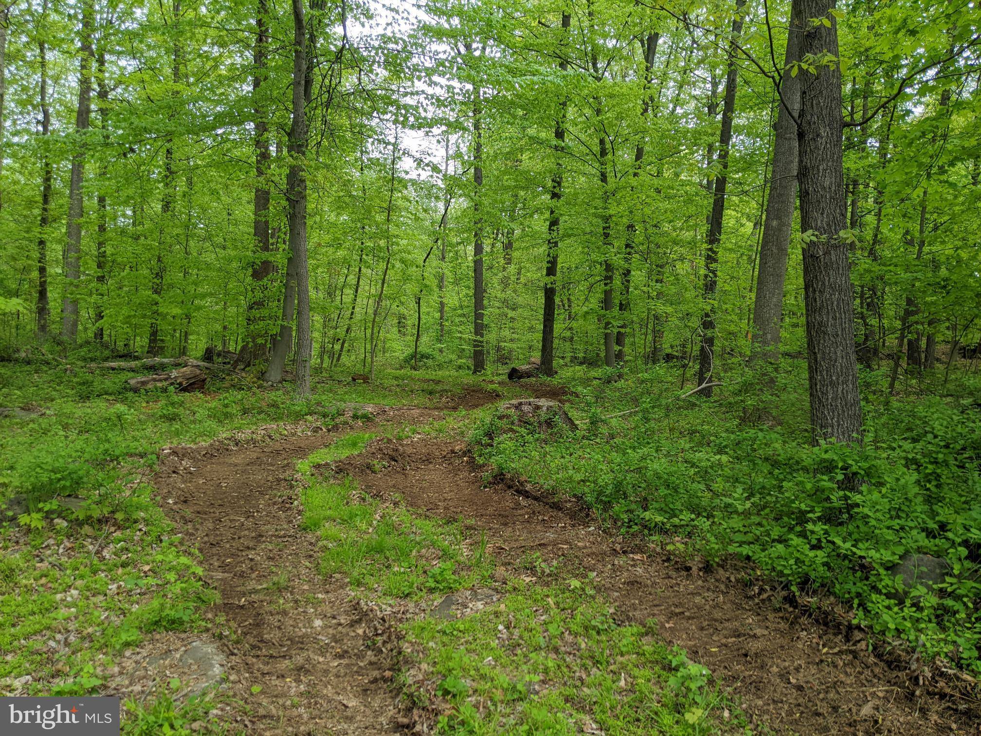 Perkiomenville, PA 18074,1771 DEEP CREEK RD