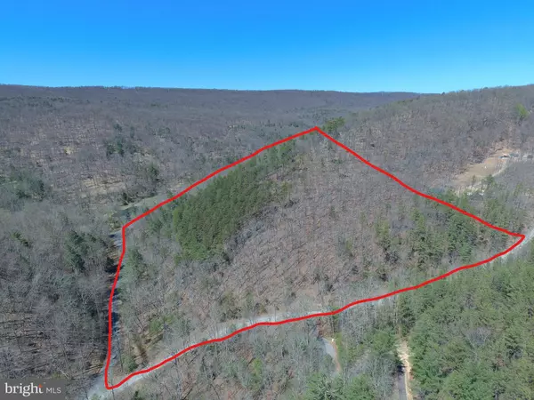 Wardensville, WV 26851,LOT #22 LOST RIVER RIDGE