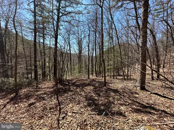 Wardensville, WV 26851,LOT #22 LOST RIVER RIDGE