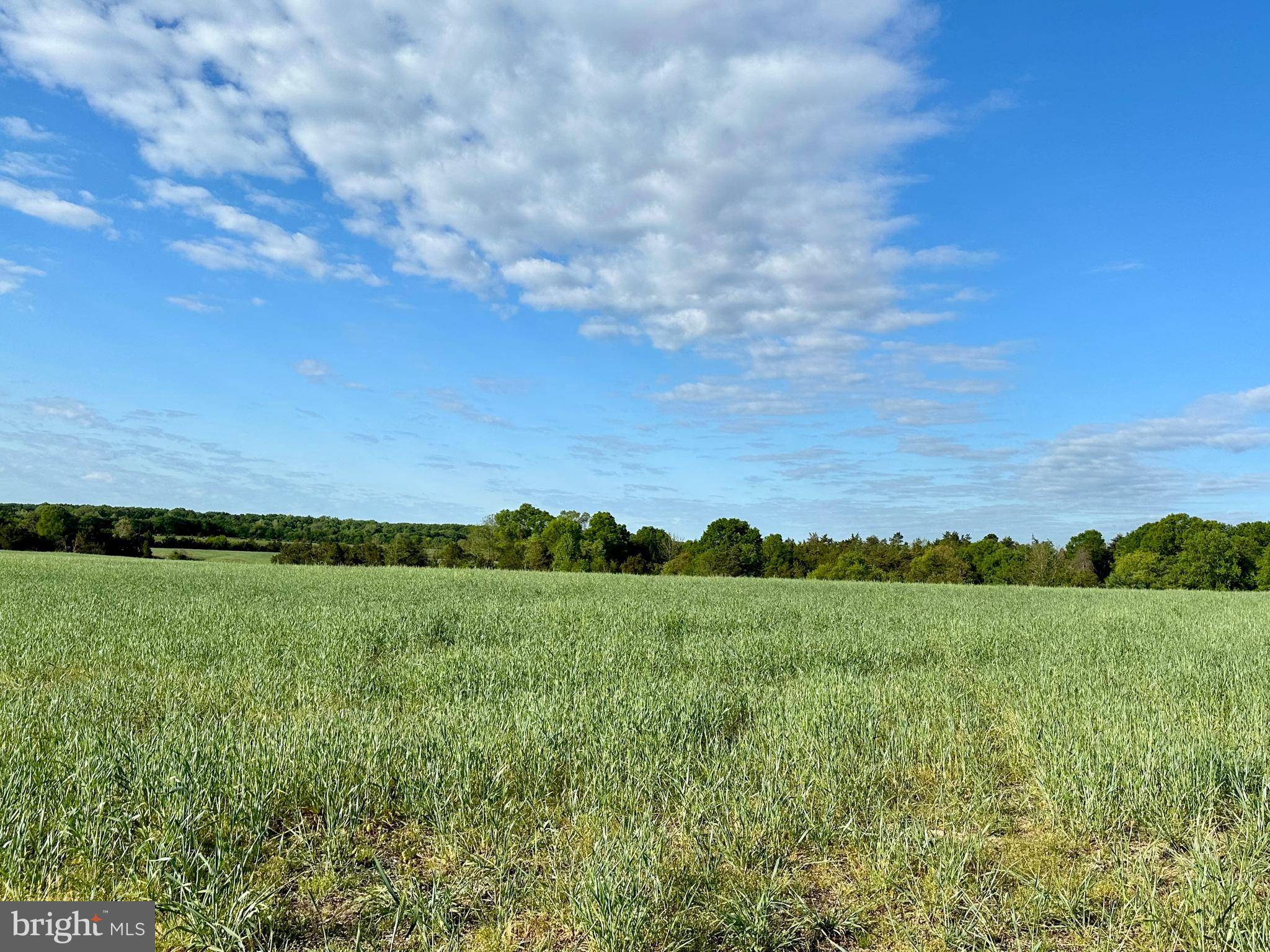 Unionville, VA 22567,LOT 1 ZACHARY TAYLOR HWY