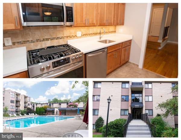 10862 BUCKNELL DR #102, Silver Spring, MD 20902