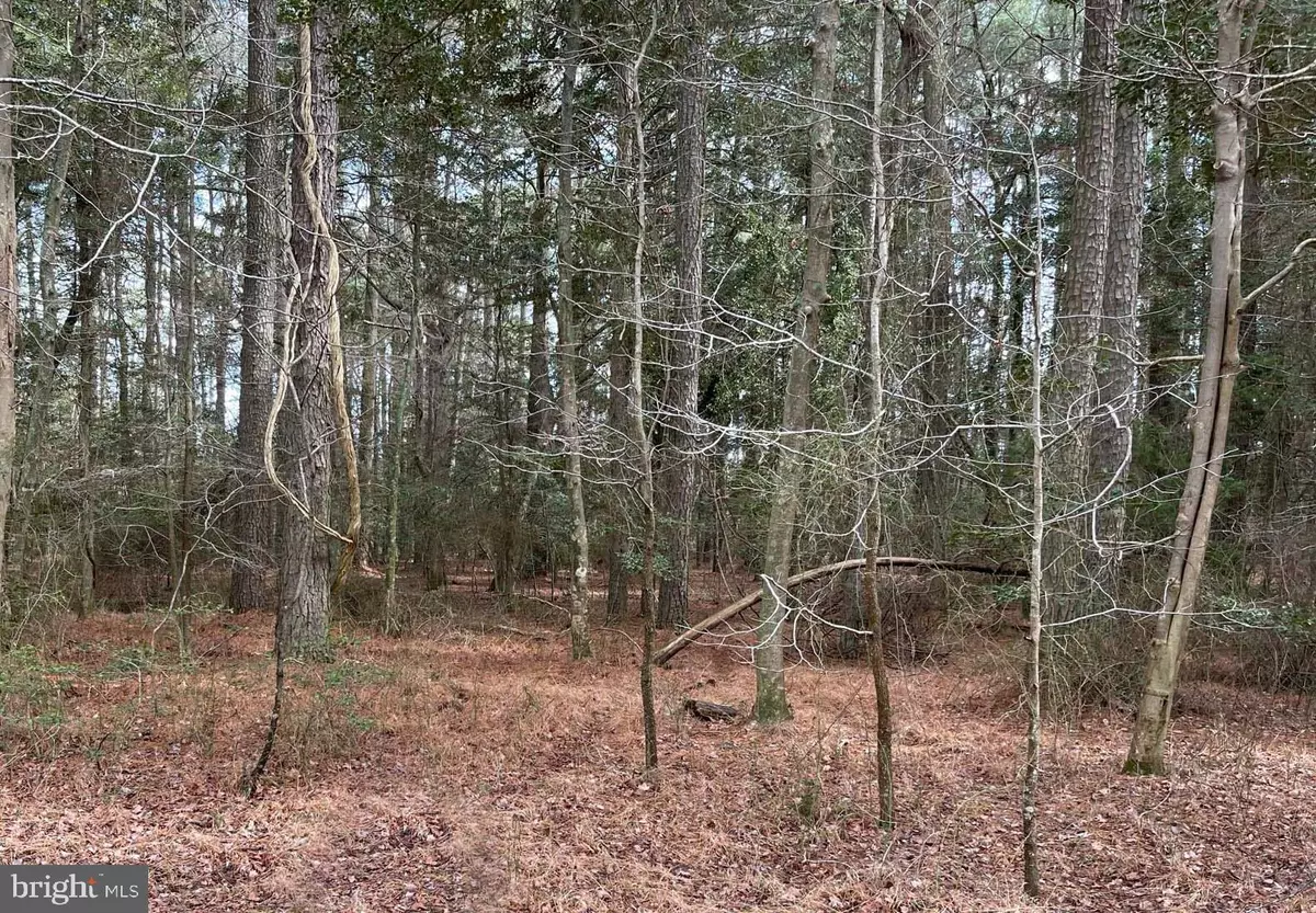 Greenbackville, VA 23356,LOT 1079 AMIDSHIP DR