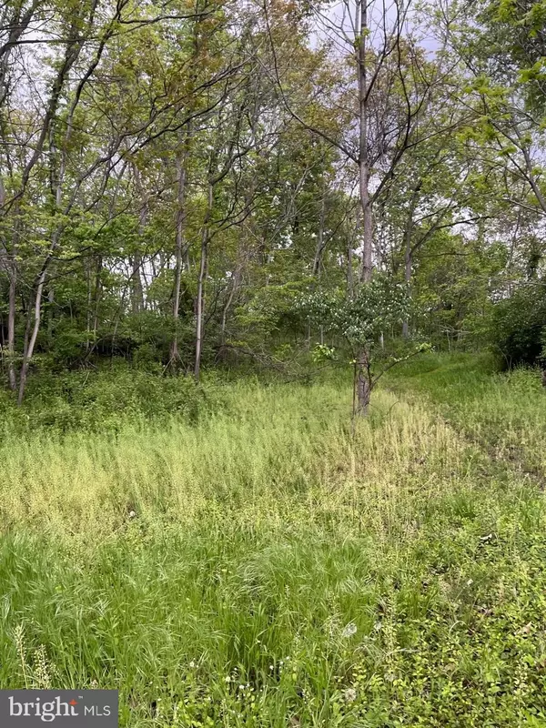 Summit Point, WV 25446,LOT 7 JAMESTOWN RD