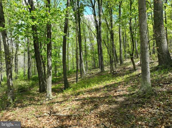 LOT 3 NORTH LAUREL RIDGE, Capon Bridge, WV 26711