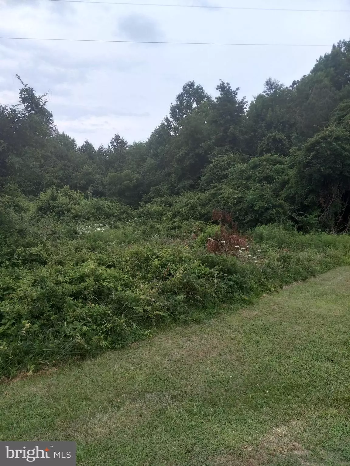 Spotsylvania, VA 22551,0 LEWIS ESTATES LANE - LOT 4