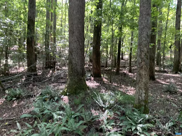 LOT 4 GREEN CREEK RD, Old Dominion, VA 22969