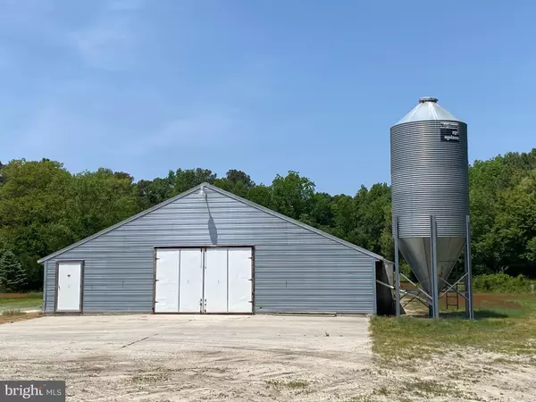 Georgetown, DE 19947,WILSON HILL RD FARM