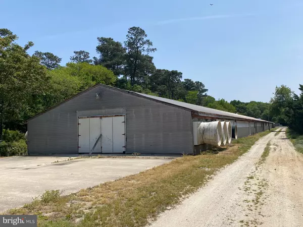 Georgetown, DE 19947,WILSON HILL RD FARM