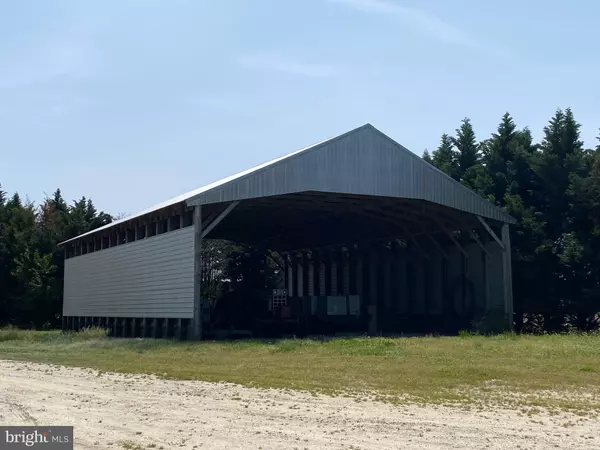 Georgetown, DE 19947,WILSON HILL RD FARM