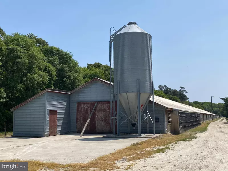 WILSON HILL RD FARM, Georgetown, DE 19947